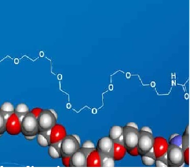 小分子PEG衍生物系列